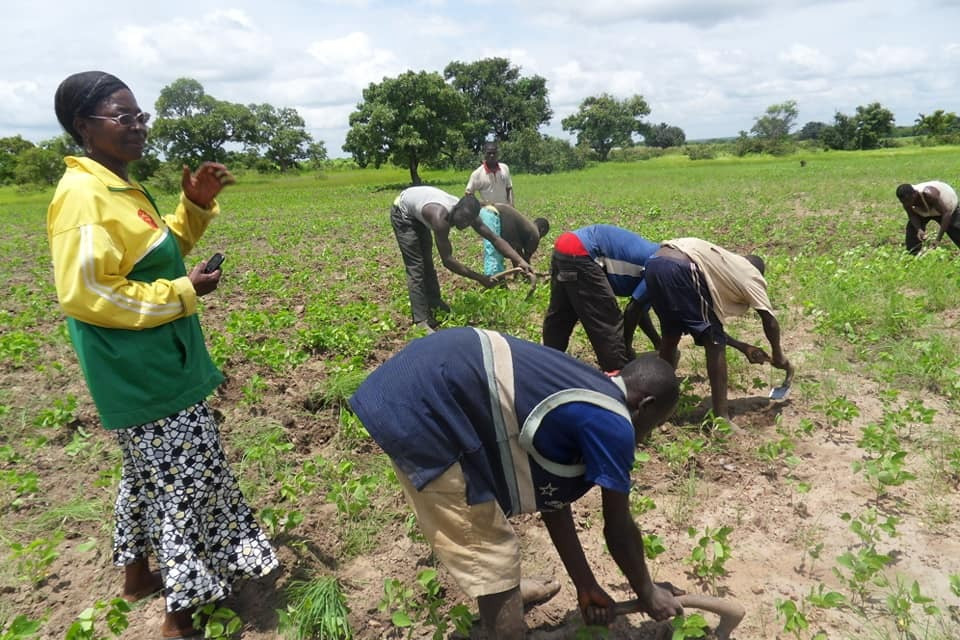 Farming Project